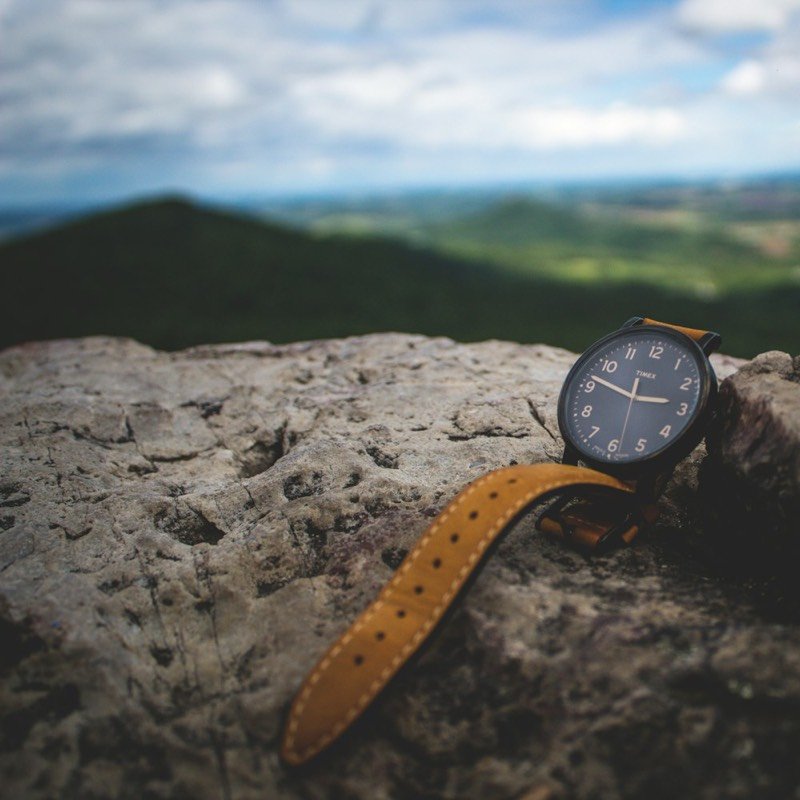 Midnight Field Watch